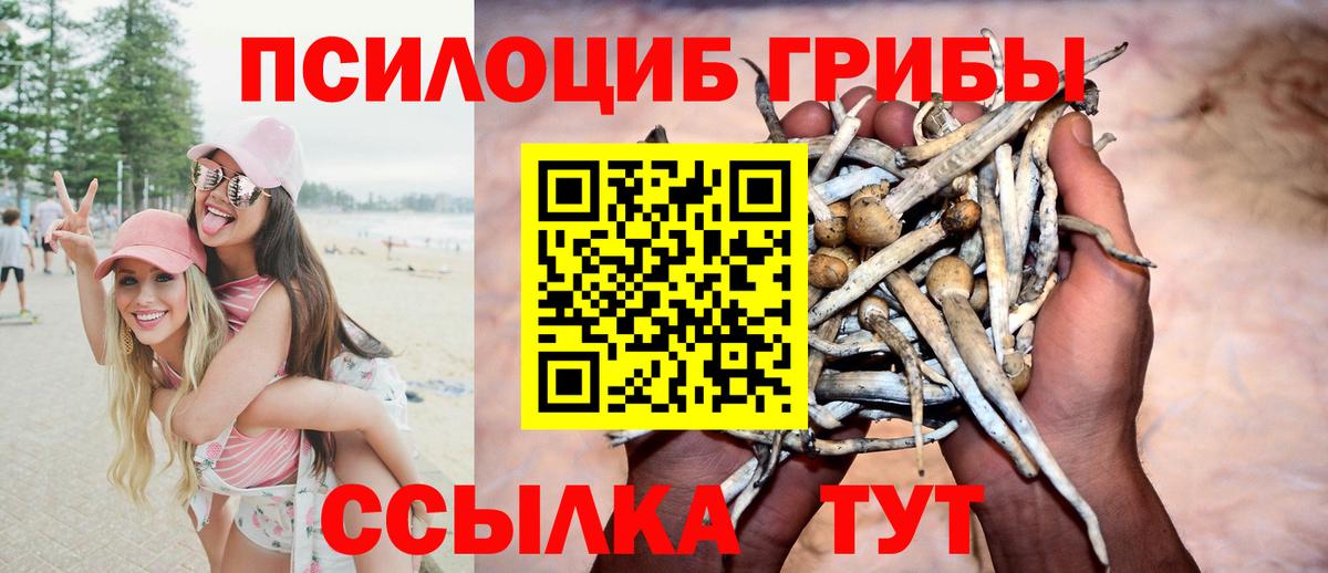 Псилоцибиновые грибы прущие грибы Вологда